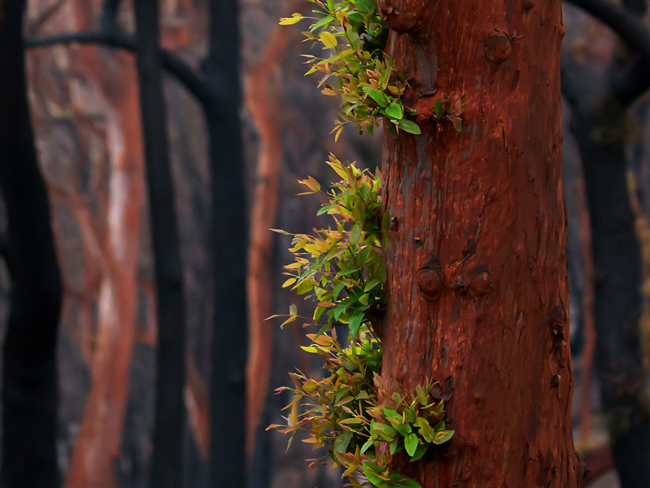 สรุปสภาวะตลาดเดือนเมษายน : อุปสรรคที่ยังไม่จบสิ้น