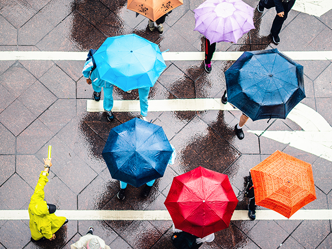 สรุปสภาวะตลาด ประจำเดือนกรกฎาคม