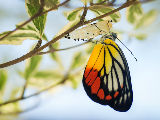 โอกาสที่น่าไขว่คว้าจากอสังหาริมทรัพย์ที่มูลค่าต่ำเกินควร